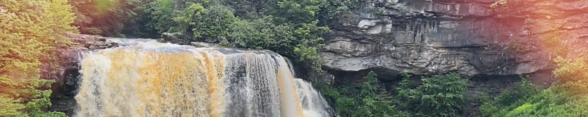 Cover for Judith Hack's Obituary