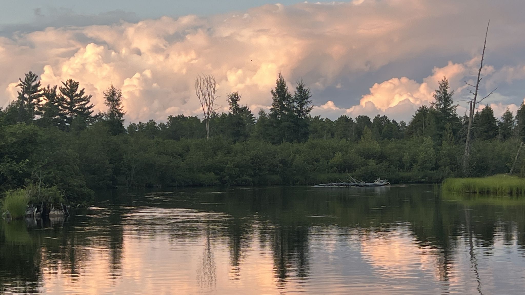 Cover for Patricia Ann Czinder's Obituary