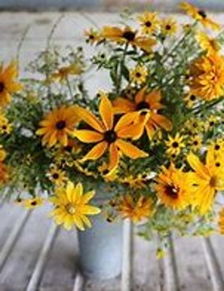 Darlene Dawn Mayes Profile Photo