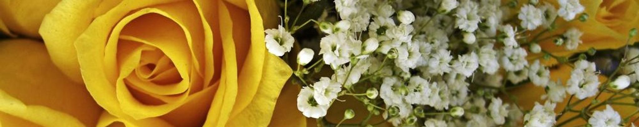 Cover for Pamela Ruth Wilganowski's Obituary