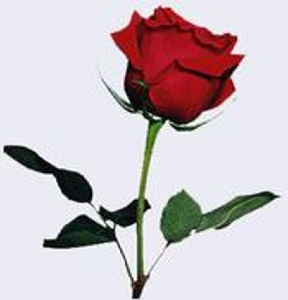 Harold D. "Bus" Williams