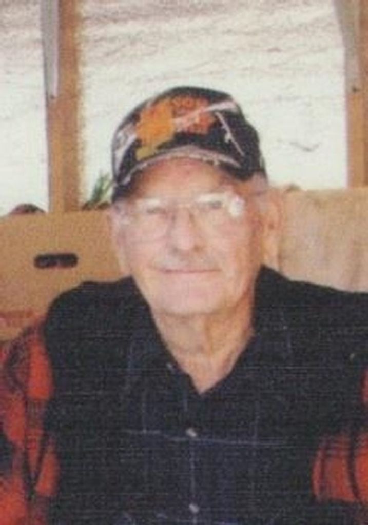 Virgil Frank Wilson