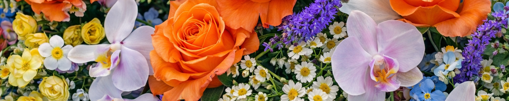 Cover for Martha McCaine's Obituary