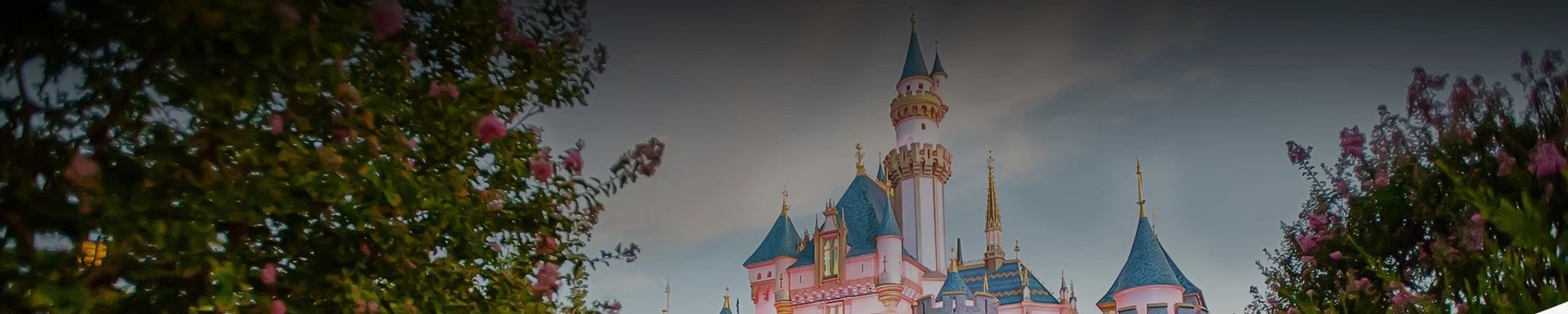 Cover for Gina C. Guyer's Obituary