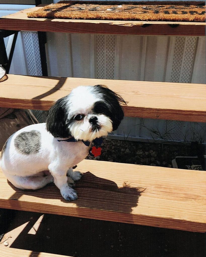 Simba Heins Profile Photo