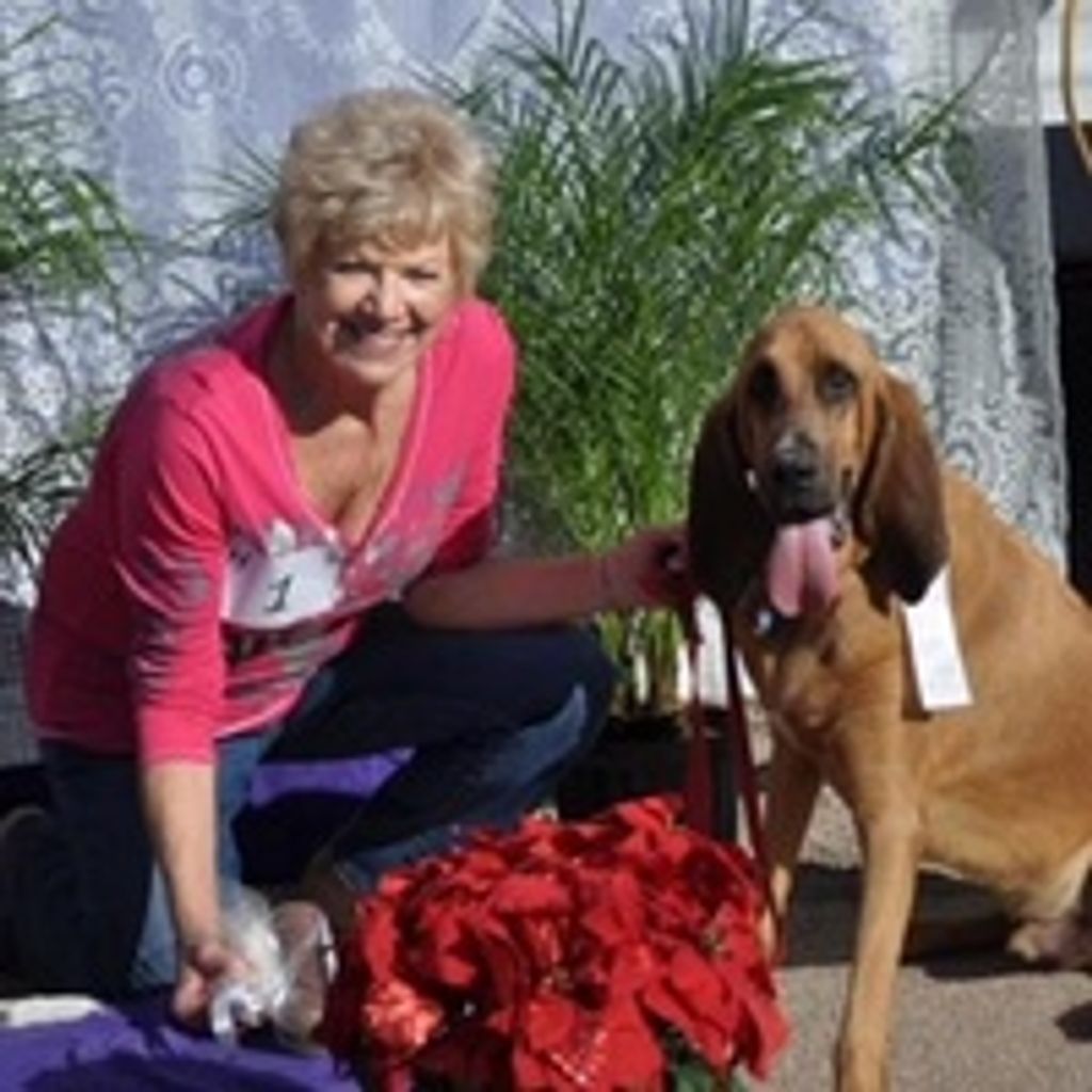 Fredonna Jo Vandermeulen