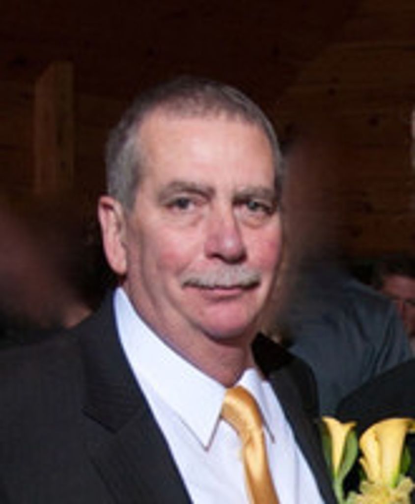 David A. Bellucci