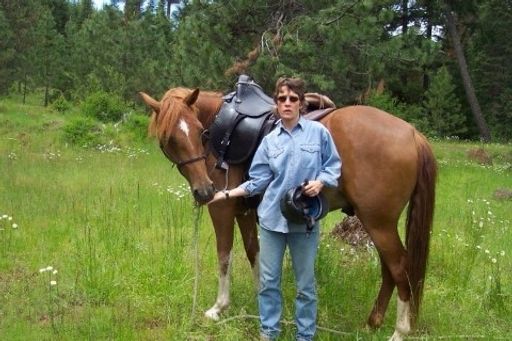 Zona G. Castle photo 4