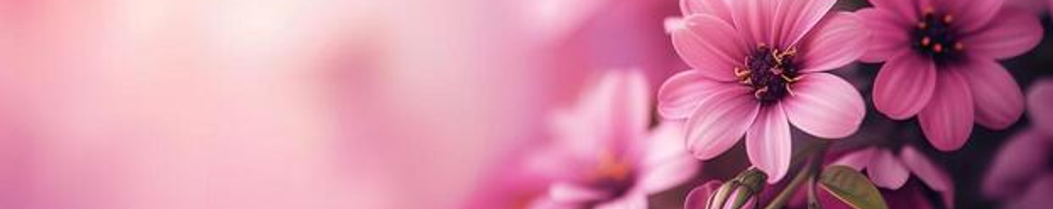 Cover for Eliner Joyce Gibson's Obituary