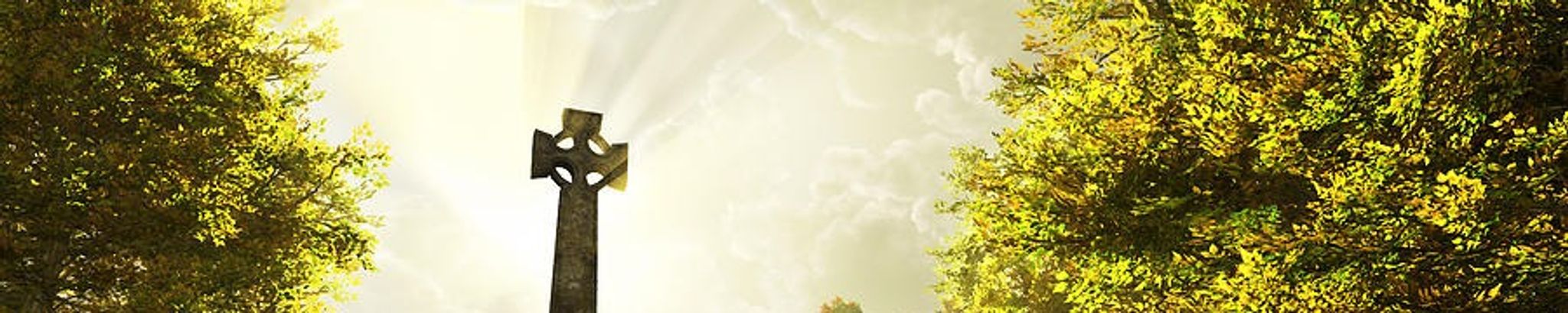 Cover photo for Eileen M. McElhone's Obituary