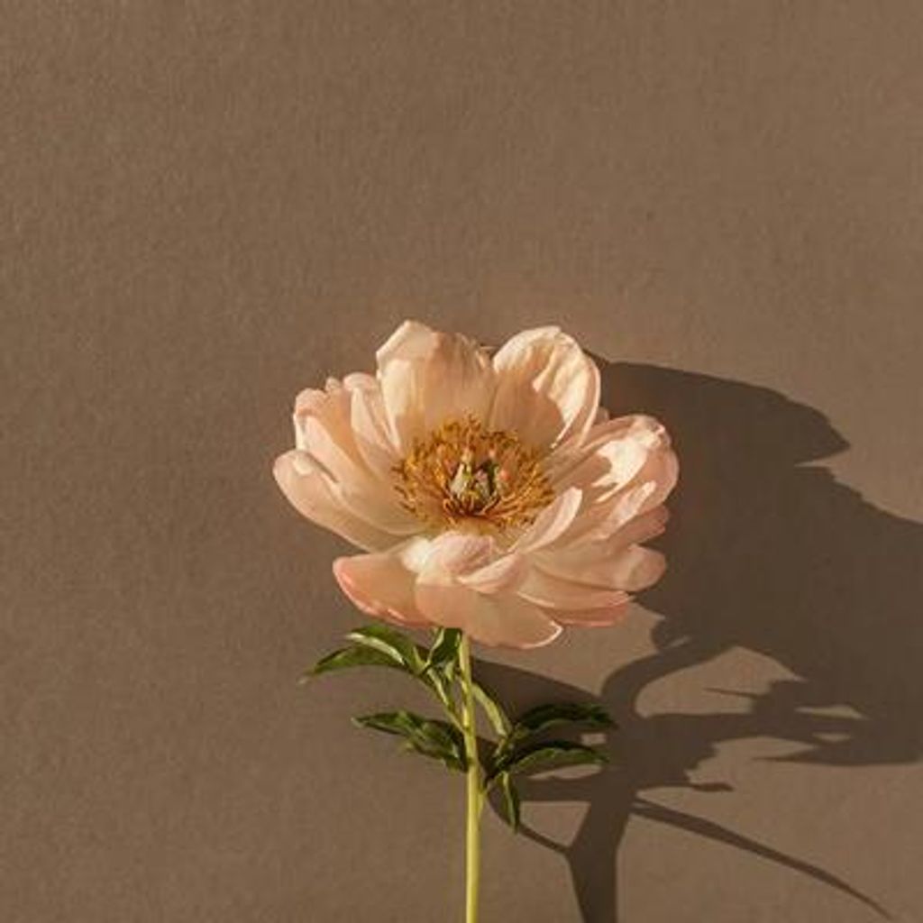 Renee Marie Benner
