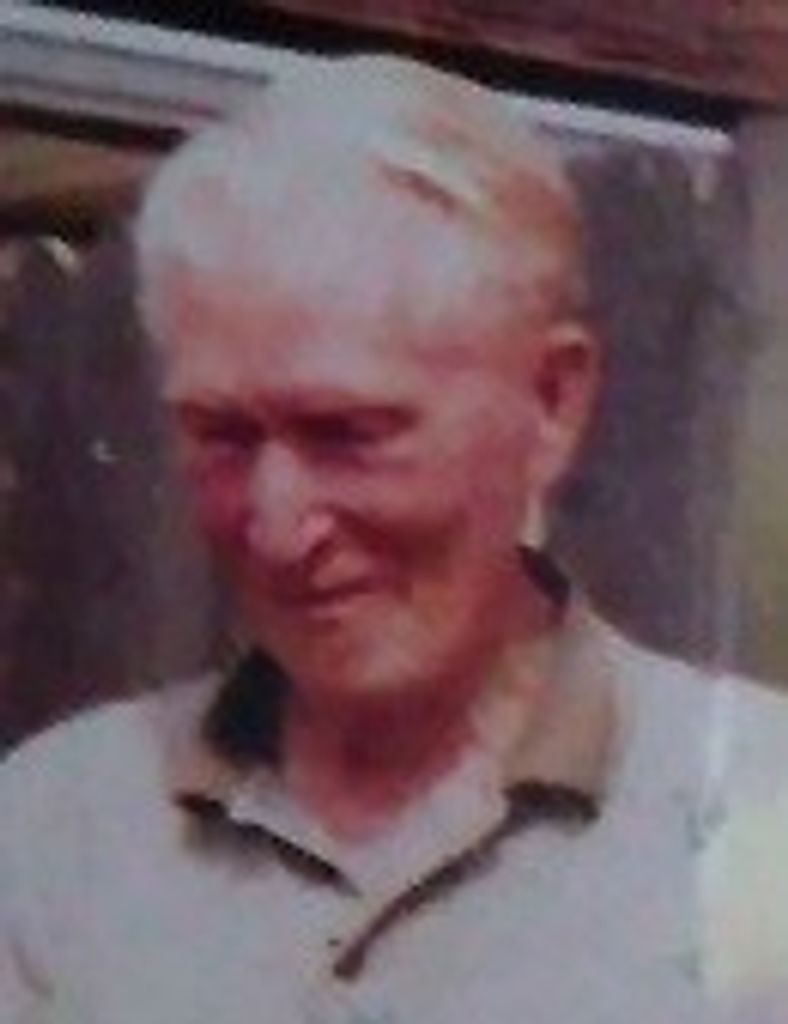 Lewis  Dwayne Wilson