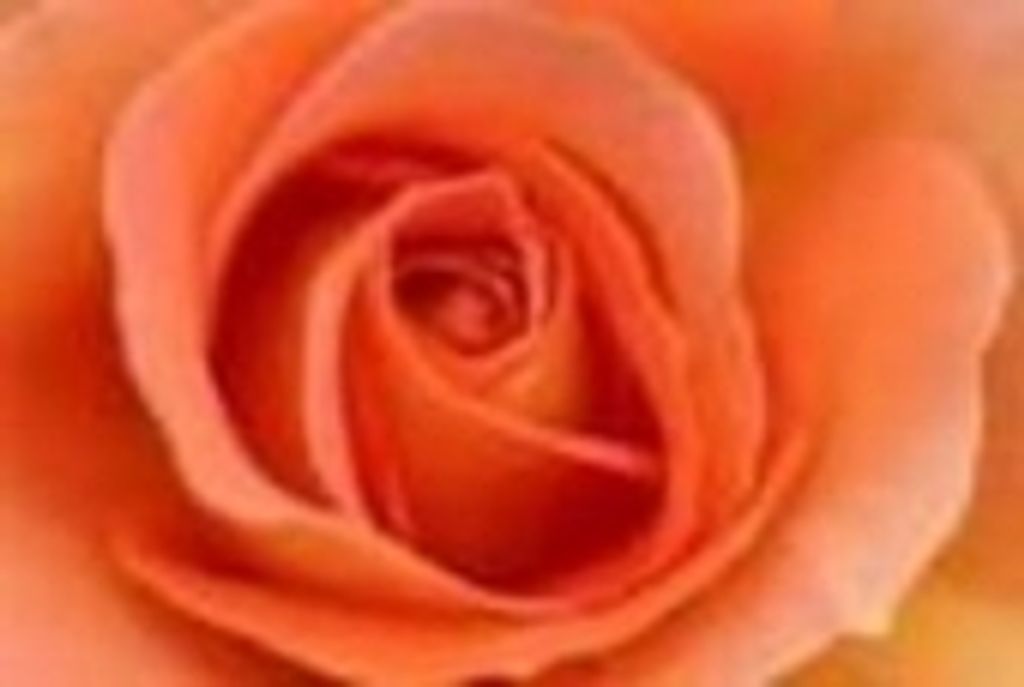 Verna 'Bun' Lessley Rudine