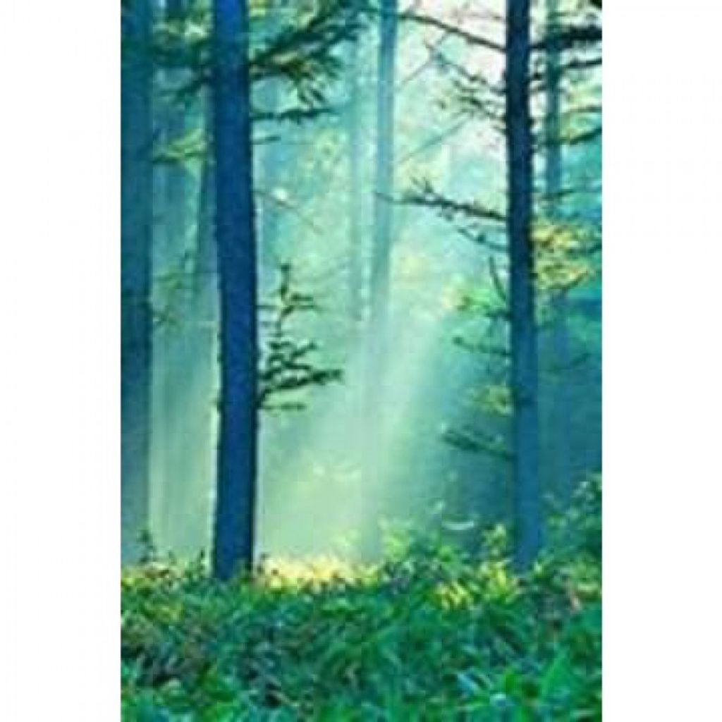 Dillon M. Galvin Profile Photo