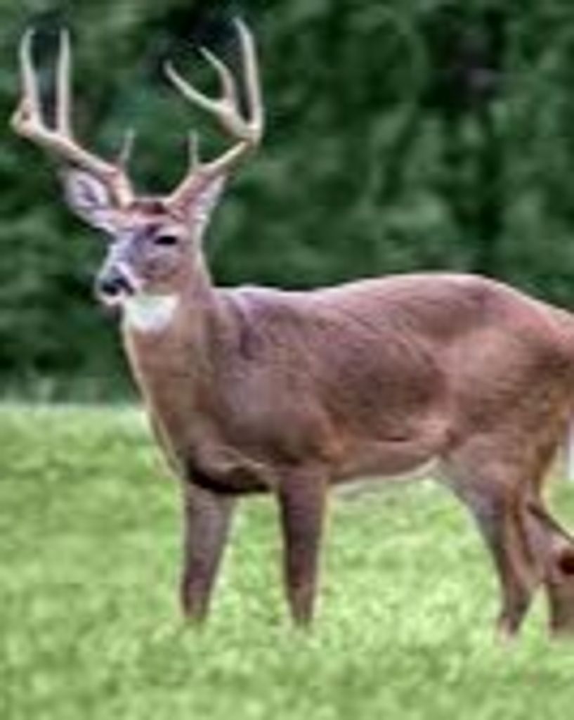 Alfred Kennard Sibley