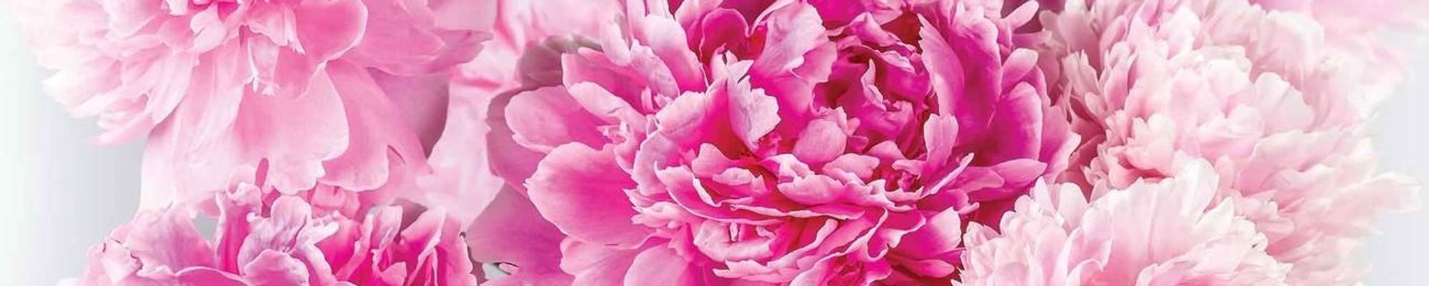 Cover photo for Janice Gail Taylor's Obituary