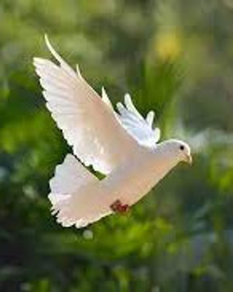 Robert Luther "Bob" Kline Profile Photo