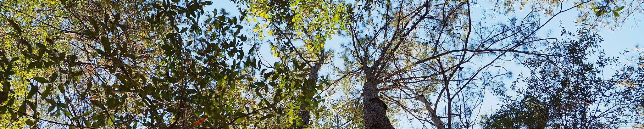 Cover for George Glover Kemp's Obituary