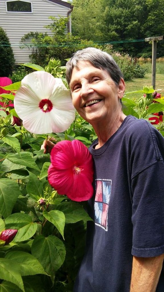 Suzanne Rhodes Phillips Profile Photo