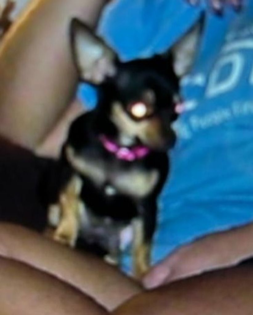 Princess Gordon