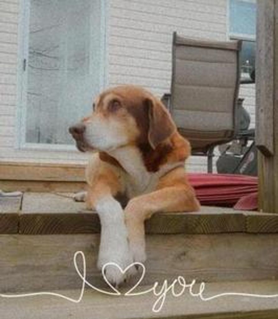 Killer Booth Profile Photo