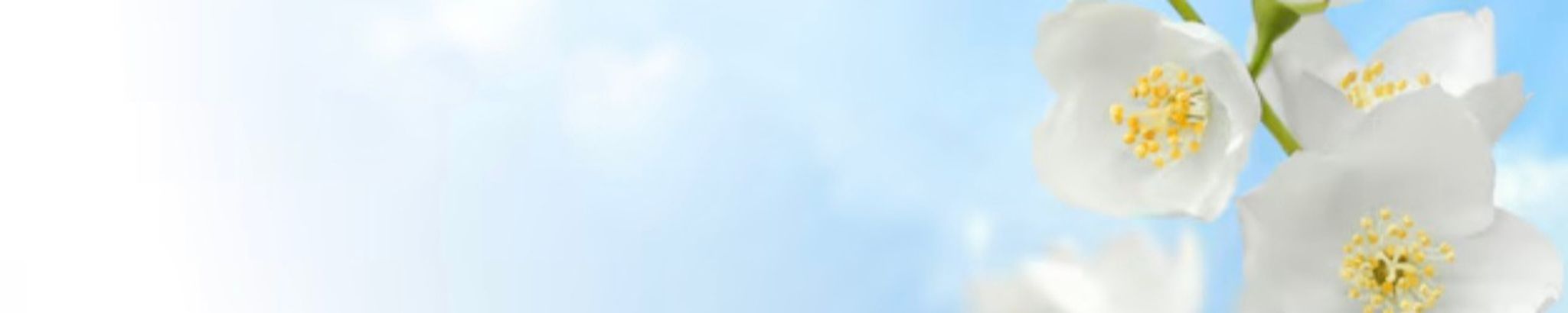 Cover photo for Analiz Rachel Guzmán Gomez's Obituary