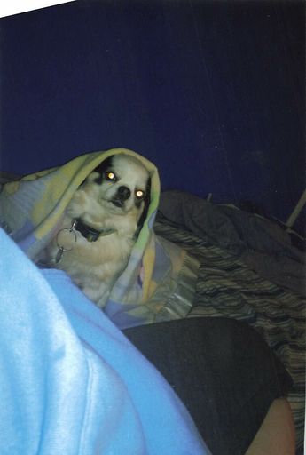 Floyd "Wolfie" E. Wolfe photo gallery thumbnail 76 of 79