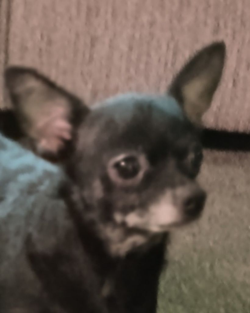 Miss Roxie Thompson