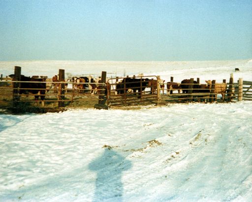 Jerome "Jerry" Pykoski photo gallery thumbnail 40 of 168