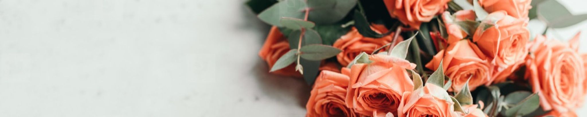 Cover photo for Laverne York's Obituary
