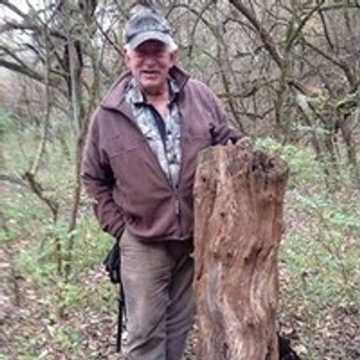 Ed Phillips Profile Photo