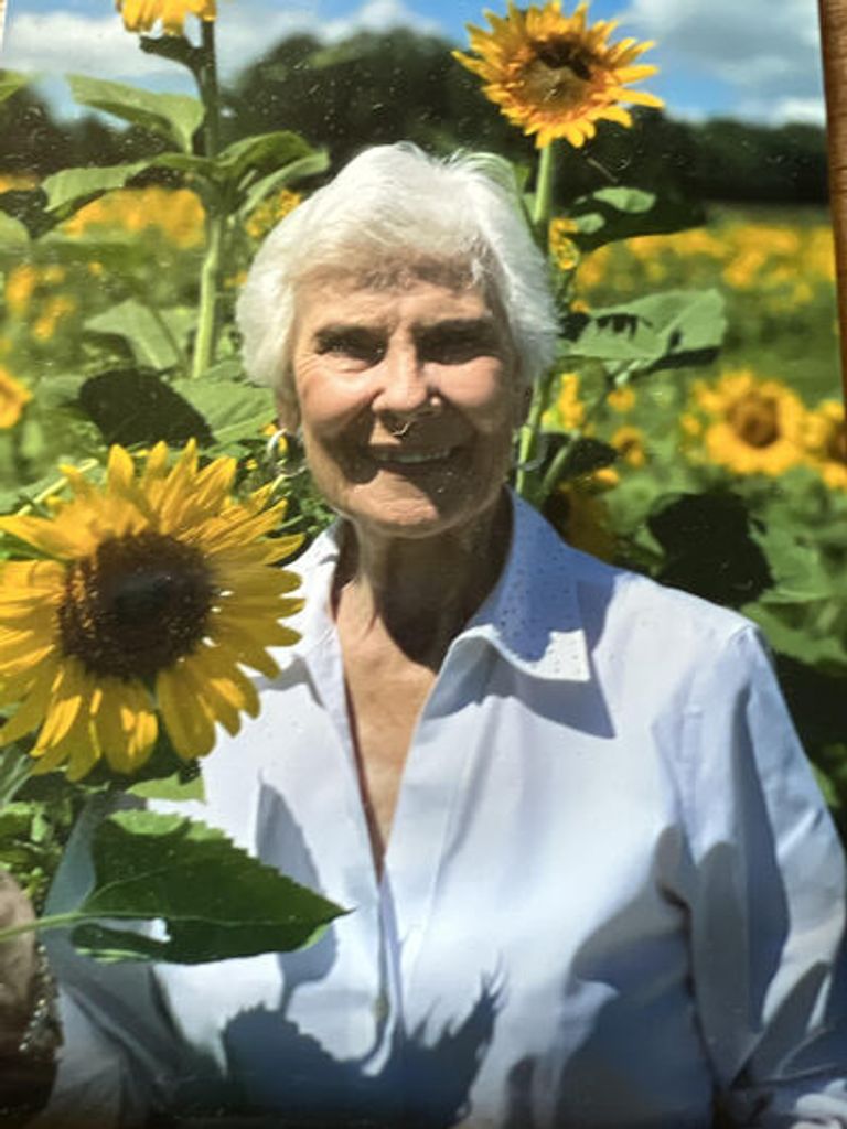 Donna Kay Schreiner Profile Photo