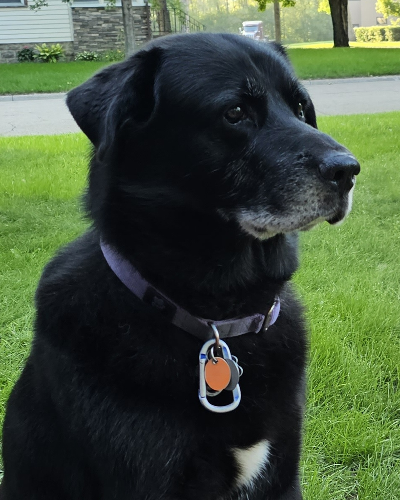 Zeus Kryzer Profile Photo