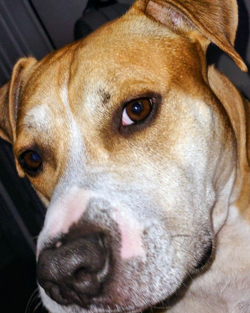 Goldie Jackson Profile Photo