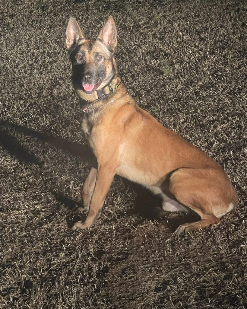 K9 Kai Luttrell