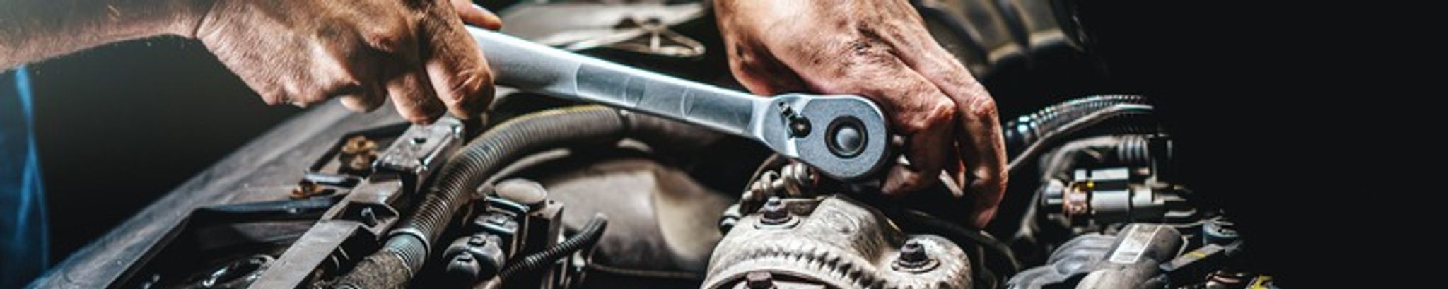 Cover for William Waggoner's Obituary