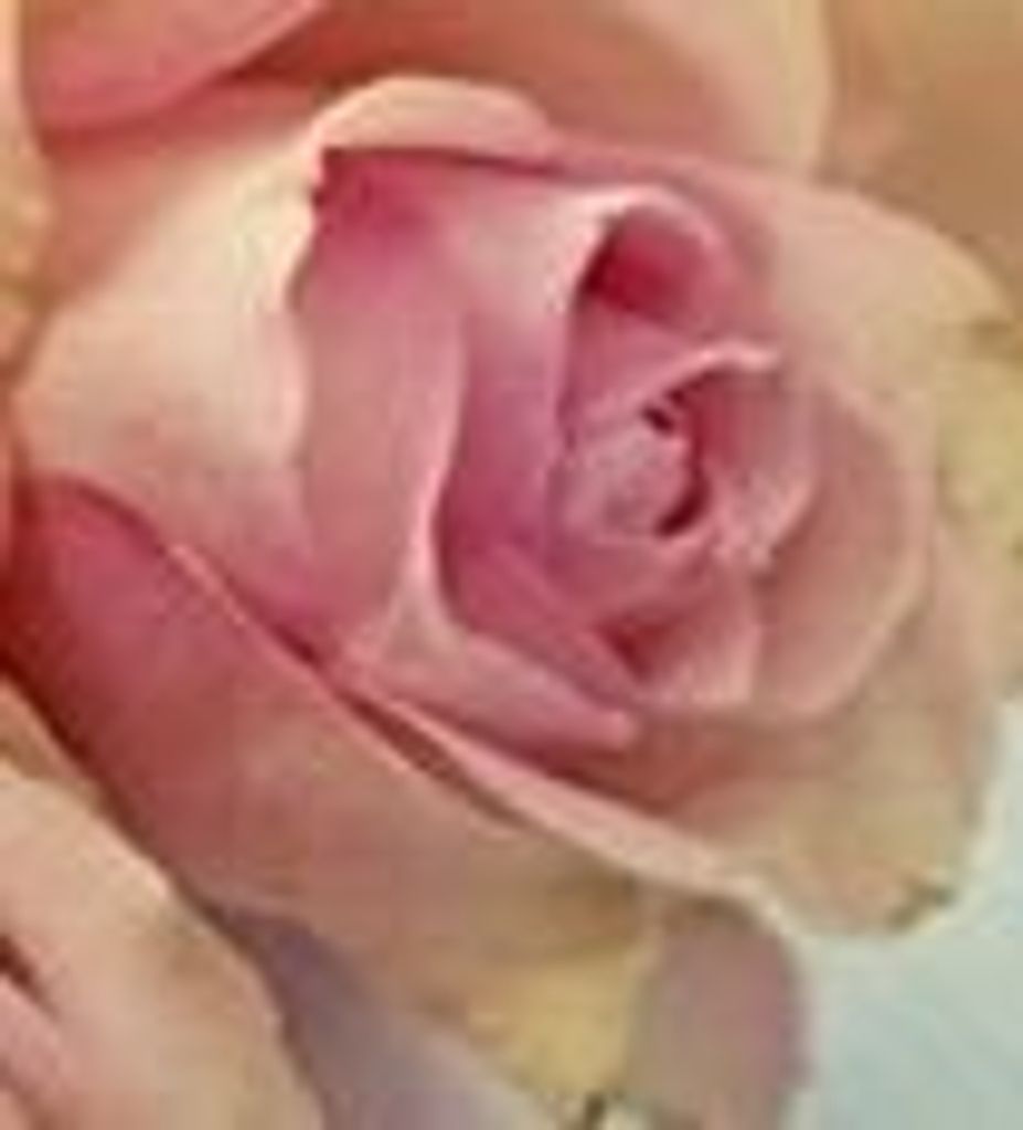 Rosalie A. Fenicle Profile Photo