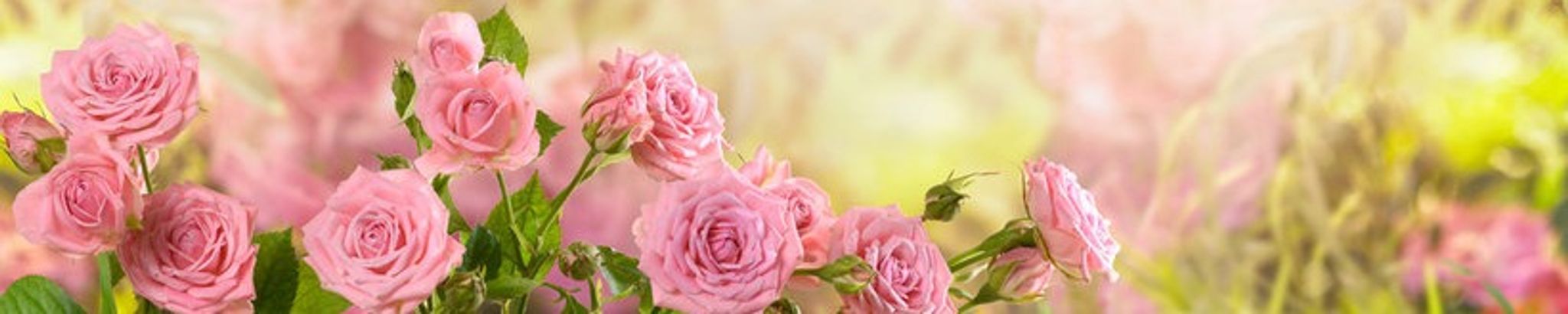 Cover for Anna "Christine" White's Obituary