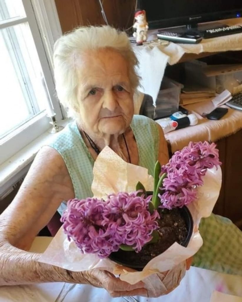 Sylvia Fallaw Maroney Profile Photo