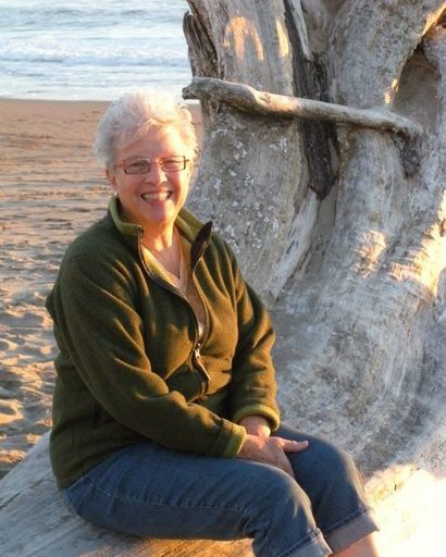 Mary Ann Rhodaback Profile Photo