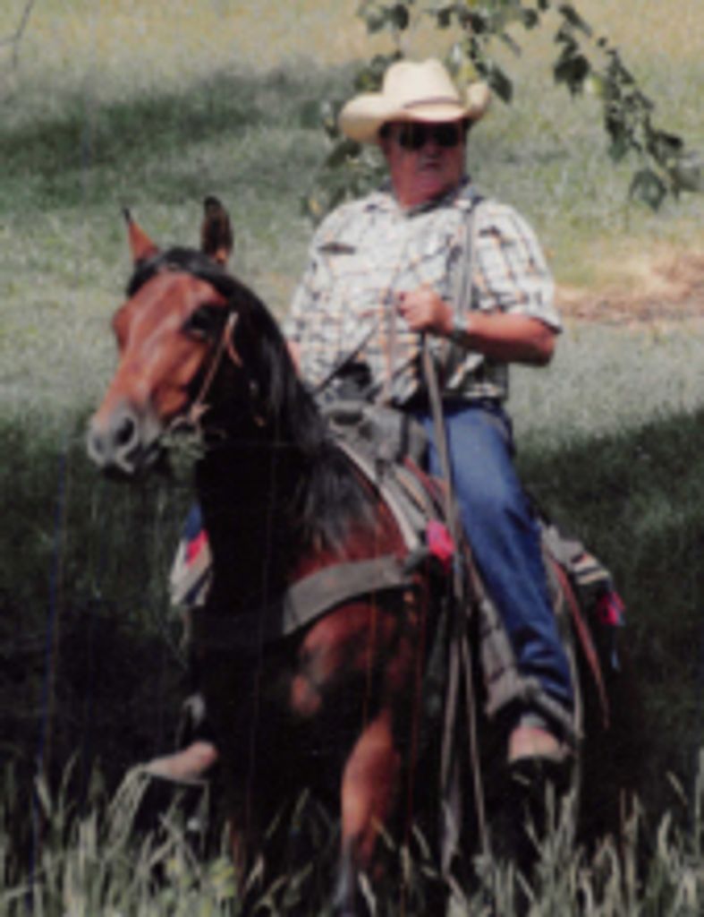 James Edward Willcox Profile Photo