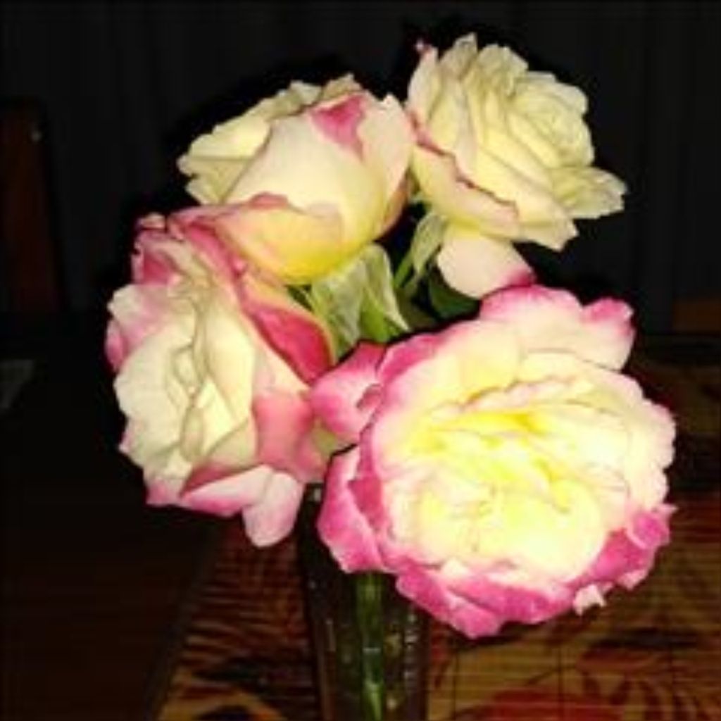 Helen Joyce Cates Profile Photo