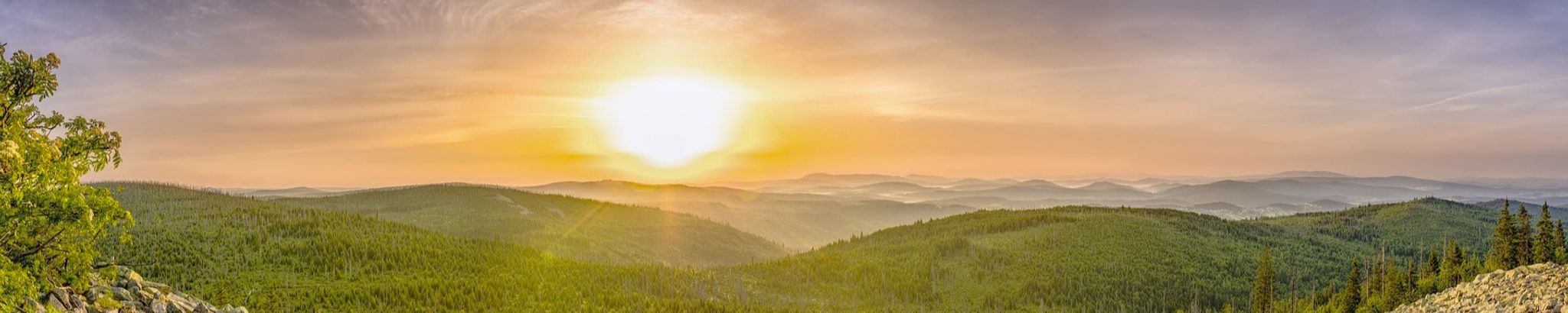 Cover photo for Larry S. Vick's Obituary