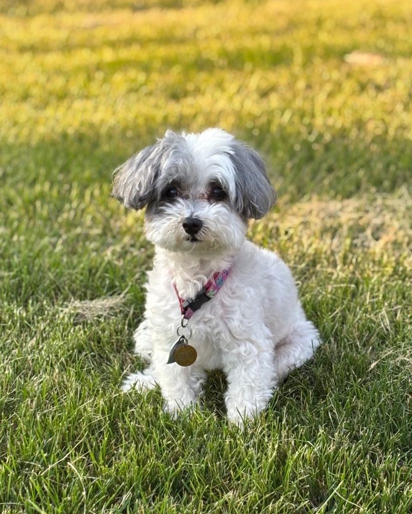 Izzy Trocke Profile Photo