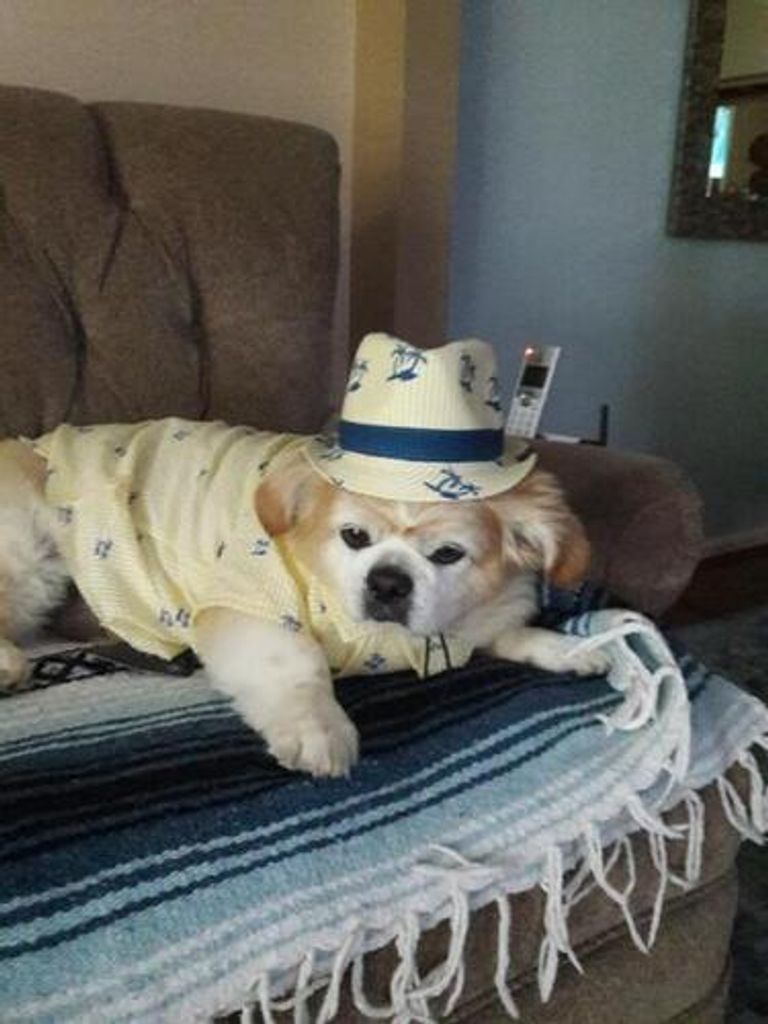 Karen A Held Profile Photo