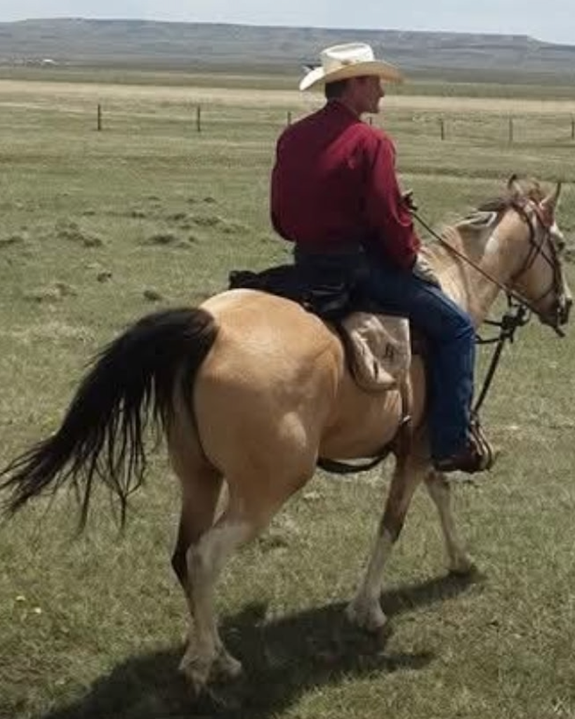 Jimmy David Hahn Profile Photo