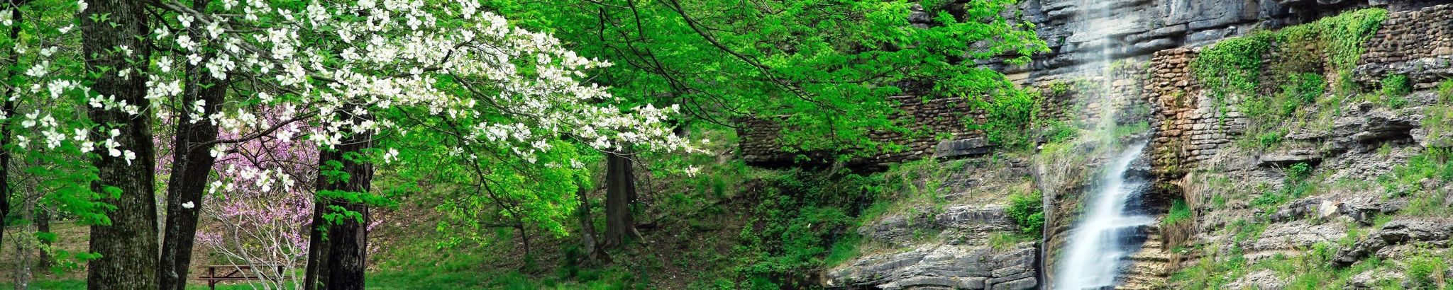 Cover for Wilma Lavonne Hutchison's Obituary