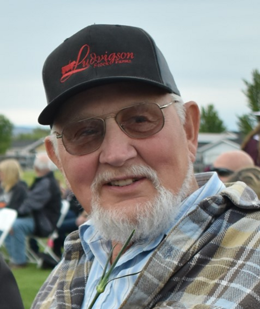 Dennis Olsen