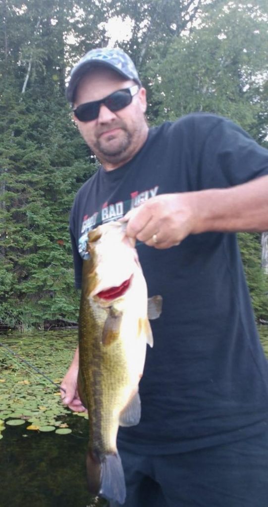 Steve Talbott Profile Photo