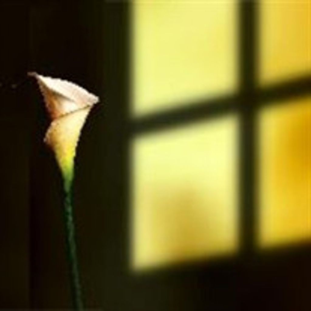 Linda Rhea Everett